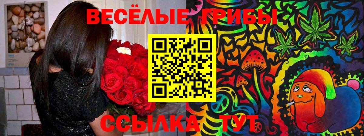 Псилоцибиновые грибы мицелий Мирный