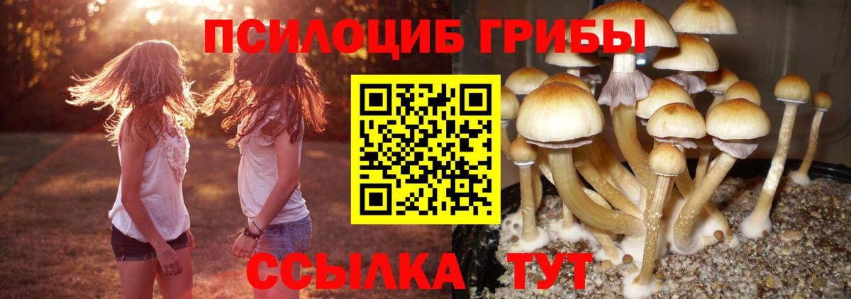 Псилоцибиновые грибы мухоморы  Вход с VPN  Мирный  Галлюциногенные грибы Magic Shrooms 